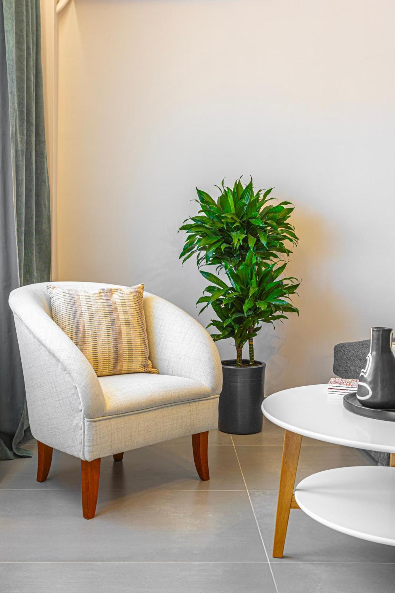 Luxury Apartment By The Sea- Euripus Strait Karababás Екстериор снимка